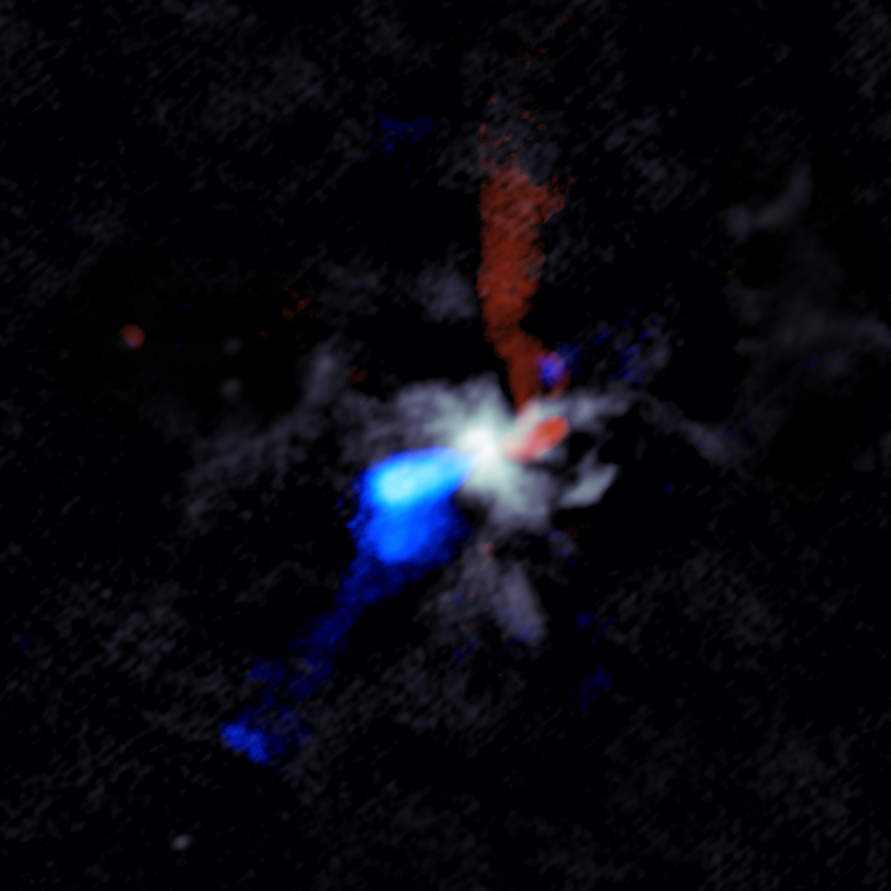 ALMA image of the chaotic scene around a massive young protostar, in this case one called W51e8 . Grey shows dust close to the star, while the red and blue indicate material in the jets moving rapidly outward from the star. Red shows material moving away from Earth and blue material moving toward Earth. Credit: Goddi, Ginsburg, et al., Sophia Dagnello, NRAO/AUI/NSF.
