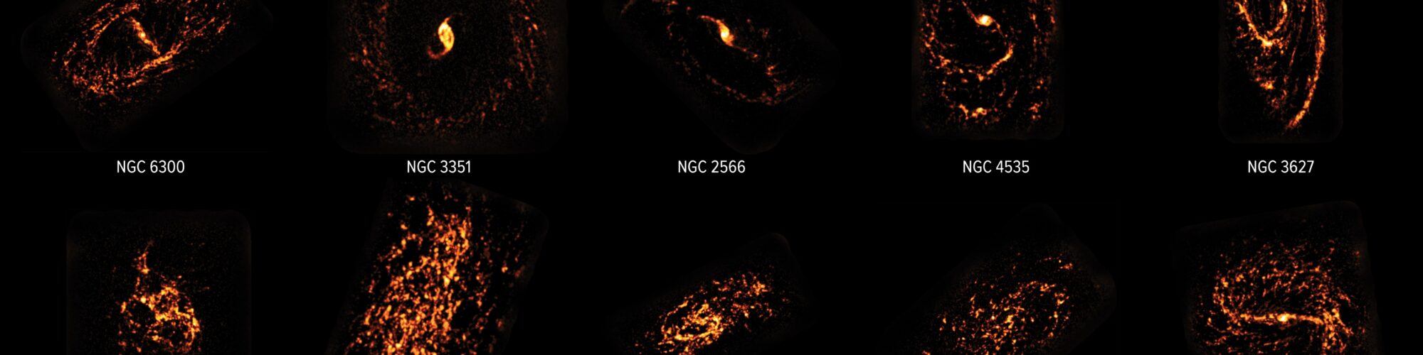 Cosmic cartographers map nearby Universe revealing the diversity of star-forming galaxies