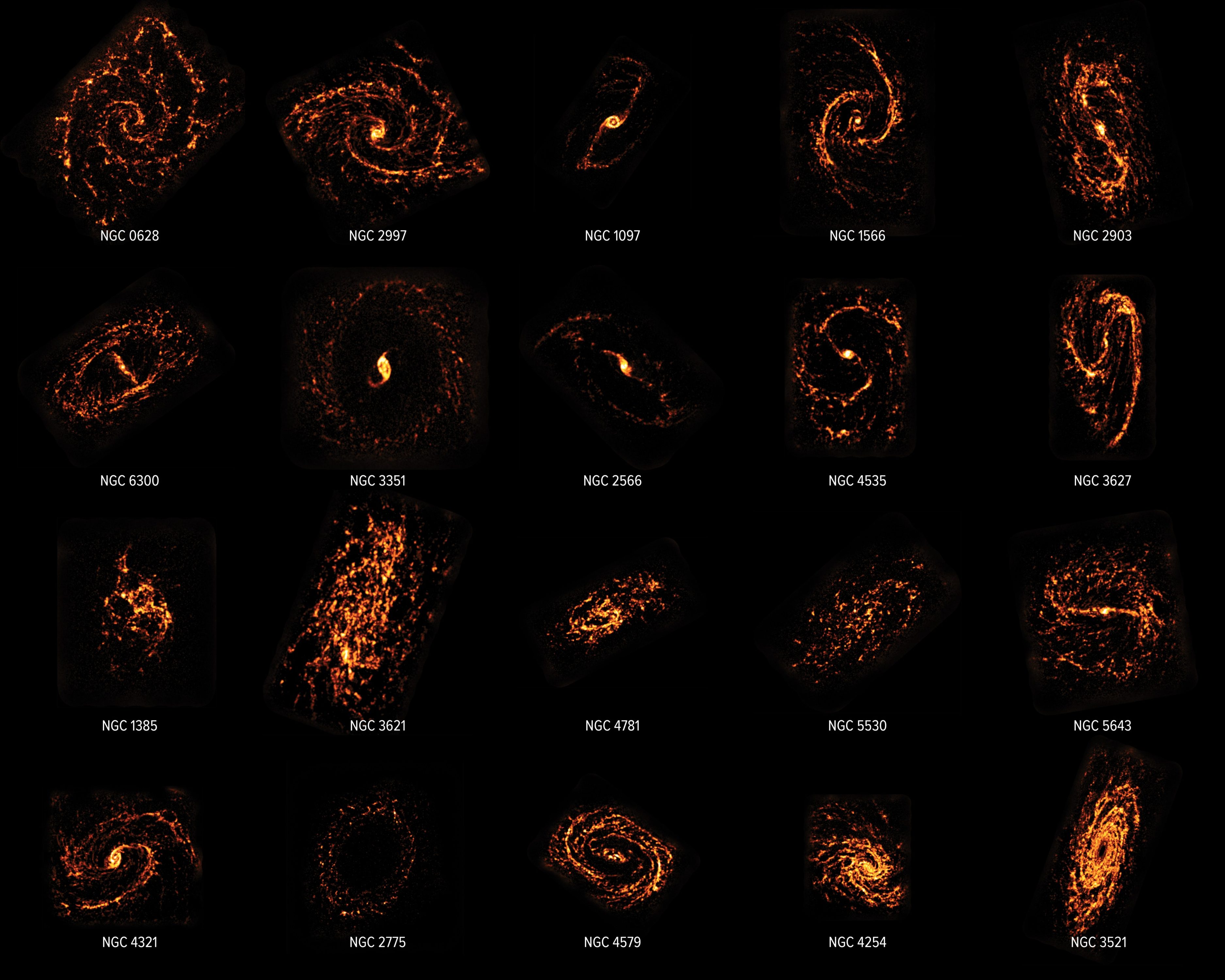 Using the Atacama Large Millimeter/submillimeter Array (ALMA), scientists completed a census of nearly 100 galaxies in the nearby Universe, showcasing their behaviors and appearances. The scientists compared ALMA data to that of the Hubble Space Telescope, shown in composite here. The survey concluded that contrary to popular scientific opinion, stellar nurseries do not all look and act the same. In fact, as shown here, they are as different as the neighborhoods, cities, regions, and countries that make up our own world. Credit: ALMA (ESO/NAOJ/NRAO)/PHANGS, S. Dagnello (NRAO)