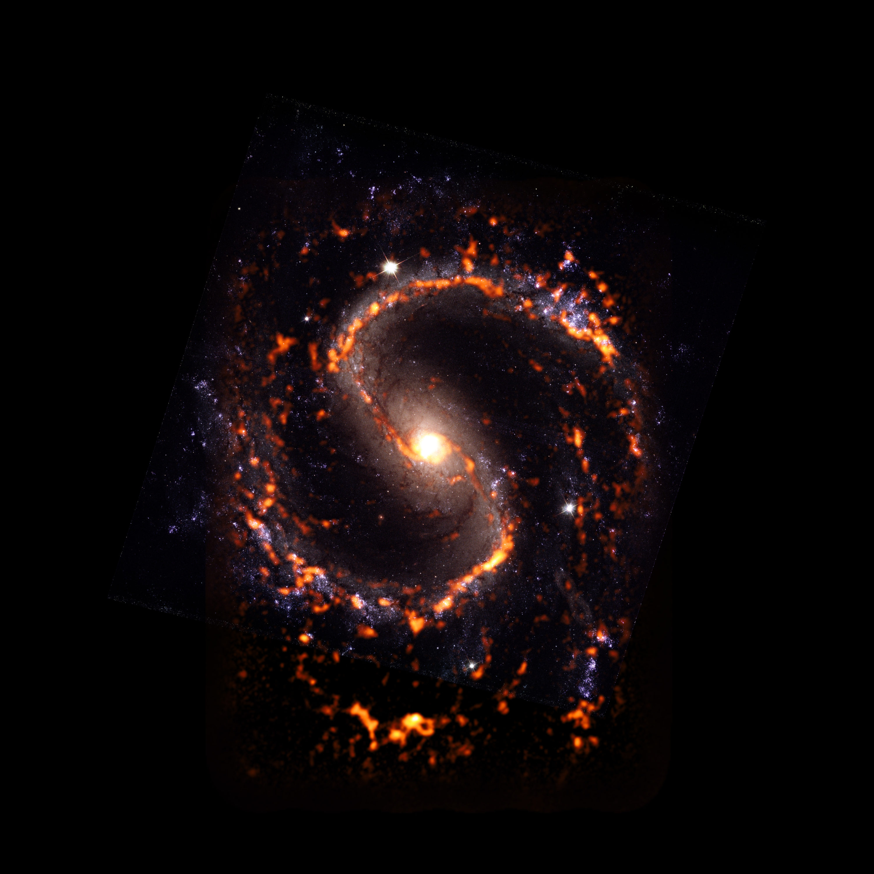 NGC4535 es una galaxia en el Universo cercano que presenta una espiral en su diseño amplío más una morfología de barra estelar. Fue catalogada junto con casi otras 100 galaxias durante un censo reciente del proyecto PHANGS. El censo reveló que, contrariamente a la teoría científica comúnmente aceptada, no todos los viveros estelares se ven o actúan de la misma manera. De hecho, son bastante diversos. NGC4535 se muestra aquí como un compuesto de ALMA (naranja / rojo) con datos del Telescopio Espacial Hubble (HST). Crédito: ALMA (ESO/NAOJ/NRAO) / PHANGS, S. Dagnello (NRAO)