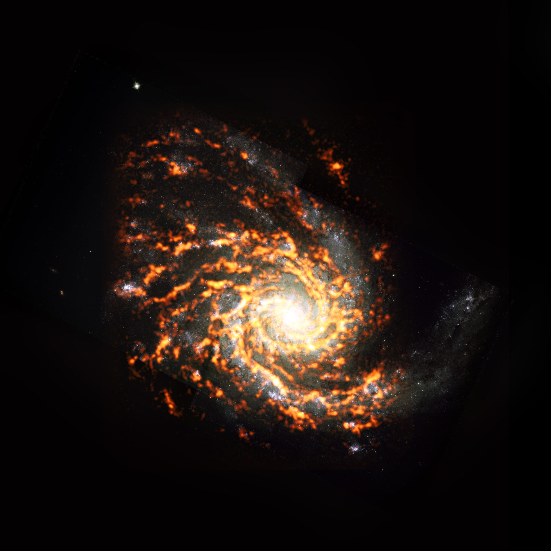 <p>Shown here as an ALMA (orange/red) composite with Hubble Space Telescope (HST) data, NGC4254 was among the nearly 100 galaxies included in the recent PHANGS project census of galaxies in the nearby Universe. The survey found that stellar nurseries within these galaxies vary widely in appearance and behavior, and that these characteristics heavily depend on where the stellar nurseries are located. NGC4254 is an example of a galaxy featuring M type morphology. Credit: ALMA (ESO/NAOJ/NRAO)/PHANGS, S. Dagnello (NRAO)</p>
