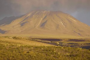 Fondo ALMA – Talabre