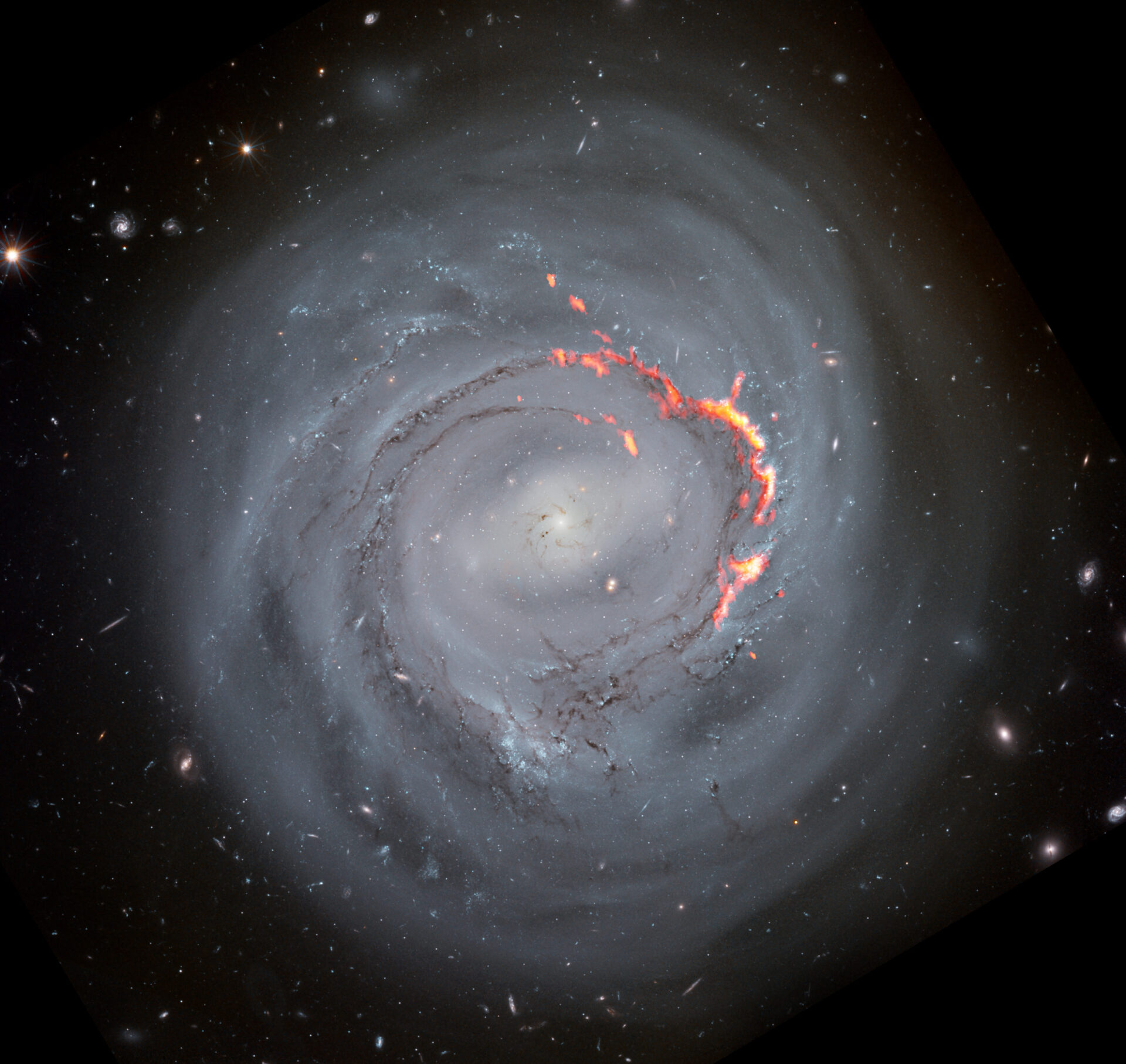 <p>Shown here in composite view, ALMA data (red/orange) reveals filament structures left behind by ram pressure stripping in a Hubble Space Telescope optical view of NGC4921. Scientists believe that these filaments are formed as magnetic fields in the galaxy prevent some matter from being stripped away.</p>
<p>Credit:  ALMA (ESO/NAOJ/NRAO)/S. Dagnello (NRAO), NASA/ESA/Hubble/K. Cook (LLNL), L. Shatz</p>
