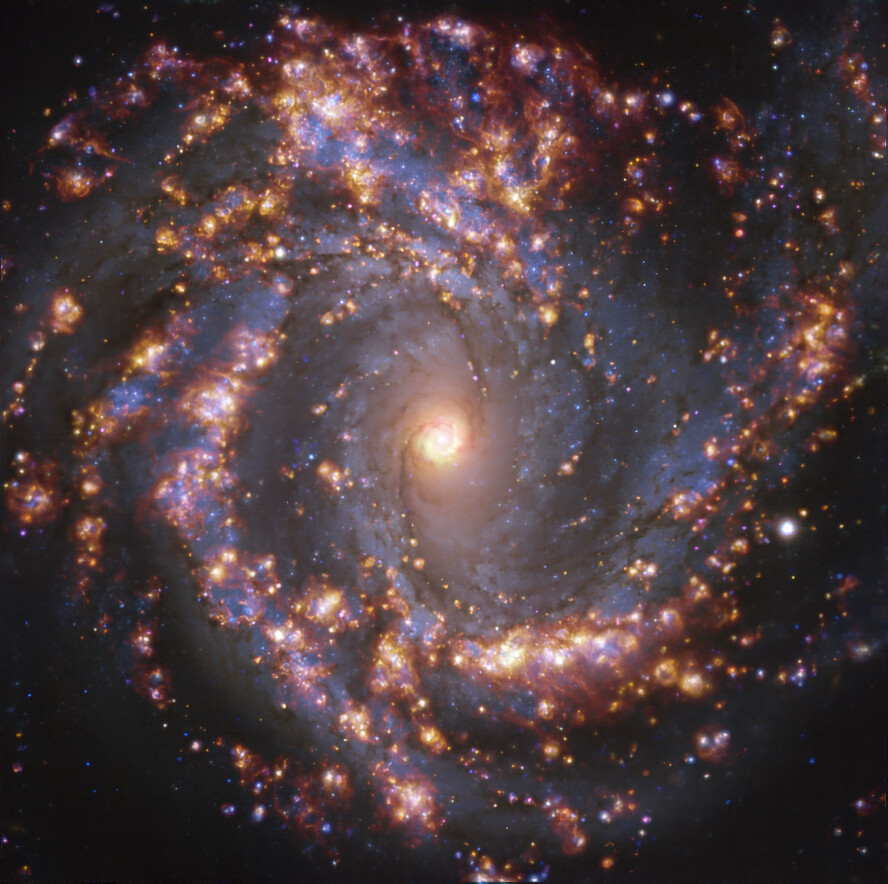 Esta imagen, tomada con el instrumento MUSE (Multi-Unit Spectroscopic Explorer, explorador espectroscópico multi-unidad), instalado en el Very Large Telescope (VLT) de ESO, muestra la cercana galaxia NGC 4303. NGC 4303 es una galaxia espiral, con una barra de estrellas y gas en su centro, situada a unos 55 millones de años luz de la Tierra, en la constelación de Virgo. La imagen es una superposición de observaciones realizadas en diferentes longitudes de onda de luz para mapear poblaciones estelares y gas caliente. Los resplandores dorados corresponden principalmente a nubes de hidrógeno ionizado, oxígeno y gas de azufre, lo cual marca la presencia de estrellas recién nacidas, mientras que las regiones azuladas del fondo revelan la distribución de estrellas ligeramente más viejas. La imagen fue tomada como parte del proyecto Physics at High Angular resolution in Nearby GalaxieS (PHANGS), que realiza observaciones de alta resolución de galaxias cercanas con telescopios que operan en todo el espectro electromagnético. Crédito: ESO/PHANGS