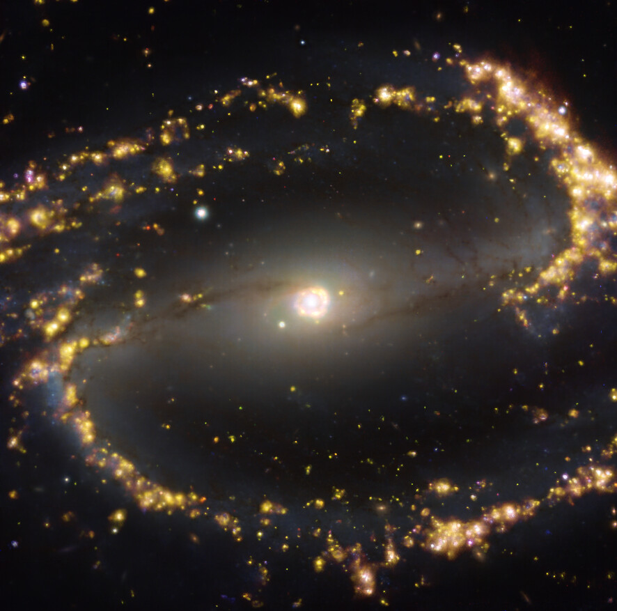 Esta imagen, tomada con el instrumento MUSE (Multi-Unit Spectroscopic Explorer, explorador espectroscópico multi-unidad), instalado en el Very Large Telescope (VLT) de ESO, muestra la galaxia cercana NGC 1300. NGC 1300 es una galaxia espiral, con una barra de estrellas y gas en su centro, situada a unos 61 millones de años luz de la Tierra, en la constelación de Eridanus. La imagen es una combinación de observaciones realizadas en diferentes longitudes de onda de luz para mapear poblaciones estelares y gas caliente. Los resplandores dorados corresponden principalmente a nubes de hidrógeno ionizado, oxígeno y gas de azufre, lo cual marca la presencia de estrellas recién nacidas, mientras que las regiones azuladas del fondo revelan la distribución de estrellas ligeramente más viejas. La imagen fue tomada como parte del proyecto Physics at High Angular resolution in Nearby GalaxieS (PHANGS), que realiza observaciones de alta resolución de galaxias cercanas con telescopios que operan en todo el espectro electromagnético. Crédito: ESO/PHANGS