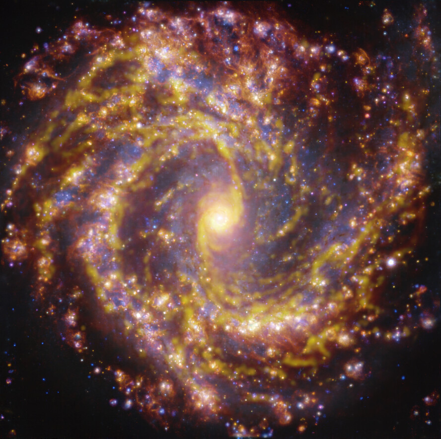 Esta imagen de la cercana galaxia NGC 4303 se obtuvo combinando observaciones tomadas con el instrumento MUSE (Multi-Unit Spectroscopic Explorer, explorador espectroscópico multi-unidad), instalado en el Very Large Telescope (VLT) de ESO y con el Atacama Large Millimeter/submillimeter Array (ALMA), del que ESO es socio. NGC 4303 es una galaxia espiral, con una barra de estrellas y gas en su centro, situada a unos 55 millones de años luz de la Tierra, en la constelación de Virgo. La imagen es una combinación de observaciones realizadas en diferentes longitudes de onda de luz para mapear poblaciones estelares y gas. Las observaciones de ALMA están representadas en tonos parduzco-anaranjados y resaltan las nubes de gas molecular frío que proporcionan la materia prima a partir de la cual se forman las estrellas. Los datos de MUSE aparecen principalmente en dorado y azul. Los intensos resplandores dorados indican nubes cálidas formadas principalmente por hidrógeno ionizado, oxígeno y gas de azufre, lo que indica la presencia de estrellas recién nacidas, mientras que las regiones azuladas revelan la distribución de estrellas ligeramente más antiguas. La imagen fue tomada como parte del proyecto Physics at High Angular resolution in Nearby GalaxieS (PHANGS), que realiza observaciones de alta resolución de galaxias cercanas con telescopios que operan en todo el espectro electromagnético. Crédito: ESO/ALMA (ESO/NAOJ/NRAO)/PHANGS