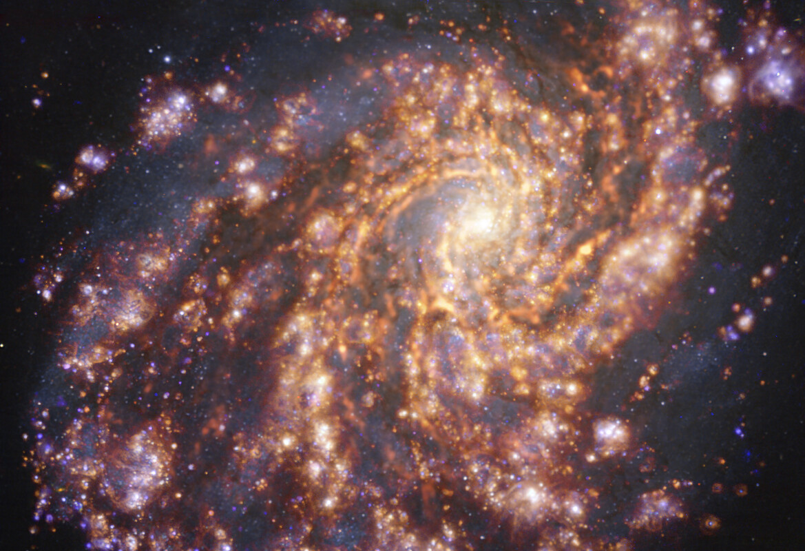 Esta imagen de la cercana galaxia NGC 4254, se obtuvo combinando observaciones tomadas con el instrumento MUSE (Multi-Unit Spectroscopic Explorer, explorador espectroscópico multi-unidad), instalado en el Very Large Telescope (VLT) de ESO y con el Atacama Large Millimeter/submillimeter Array (ALMA), del que ESO es socio. NGC 4254 es una galaxia espiral de gran diseño localizada, aproximadamente, a 45 millones de años luz de la Tierra, en la constelación de Coma Berenices. La imagen es una combinación de observaciones realizadas en diferentes longitudes de onda de luz para mapear poblaciones estelares y gas. Las observaciones de ALMA están representadas en tonos parduzco-anaranjados y resaltan las nubes de gas molecular frío que proporcionan la materia prima a partir de la cual se forman las estrellas. Los datos de MUSE aparecen principalmente en dorado y azul. Los intensos resplandores dorados indican nubes cálidas formadas principalmente por hidrógeno ionizado, oxígeno y gas de azufre, lo que indica la presencia de estrellas recién nacidas, mientras que las regiones azuladas revelan la distribución de estrellas ligeramente más antiguas. La imagen fue tomada como parte del proyecto Physics at High Angular resolution in Nearby GalaxieS (PHANGS), que realiza observaciones de alta resolución de galaxias cercanas con telescopios que operan en todo el espectro electromagnético. Crédito: ESO/ALMA (ESO/NAOJ/NRAO)/PHANGS