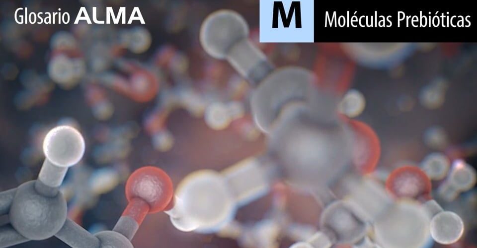 Moléculas Prebióticas