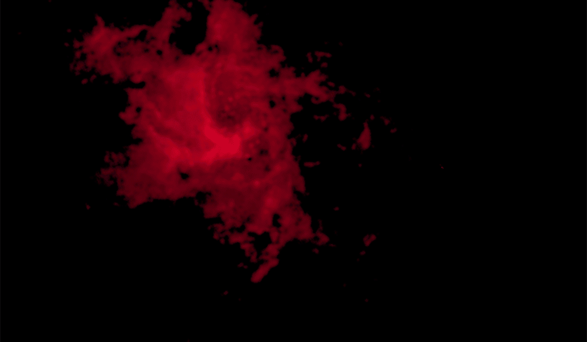 Las densas nubes moleculares en el centro de la Vía Láctea no logran formar estrellas