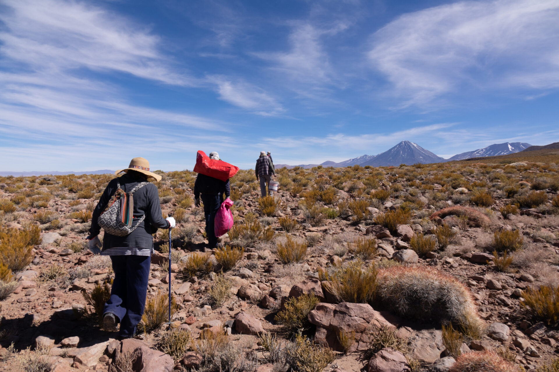 ALMA supports Celeste community collecting medicinal plants