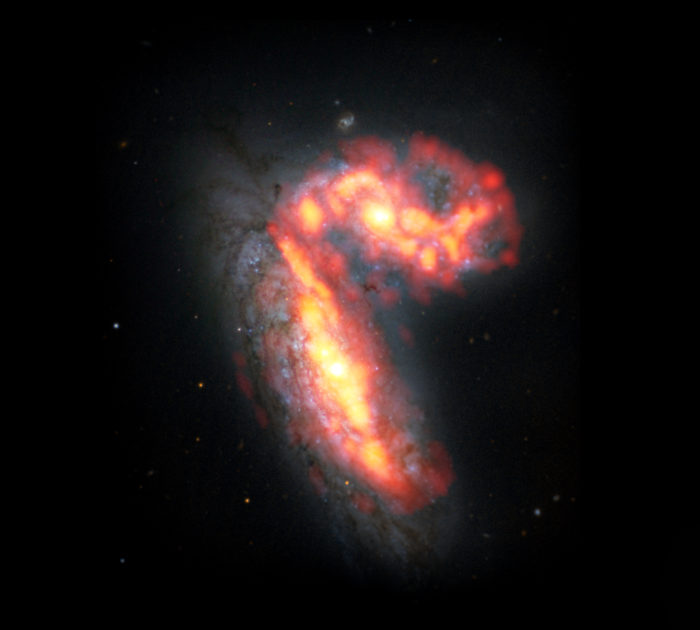 NGC 4567 y NGC 4568 son dos de las 2.000 galaxias del cúmulo de Virgo, que se encuentra a unos 65 millones de años luz de la Tierra. Las dos galaxias, observadas en el marco de la campaña Virgo Environment Traced in Carbon Monoxide (VERTICO), son algunas de las que se ven afectadas por procesos físicos extremos que pueden provocar la muerte de las galaxias. Esta imagen se generó a partir de datos de radio del gas molecular obtenidos por ALMA (rojo/naranja) y datos ópticos de las estrellas obtenidos con el telescopio espacial Hubble (blanco/azul). Créditos: ALMA (ESO/NAOJ/NRAO)/S. Dagnello (NRAO)