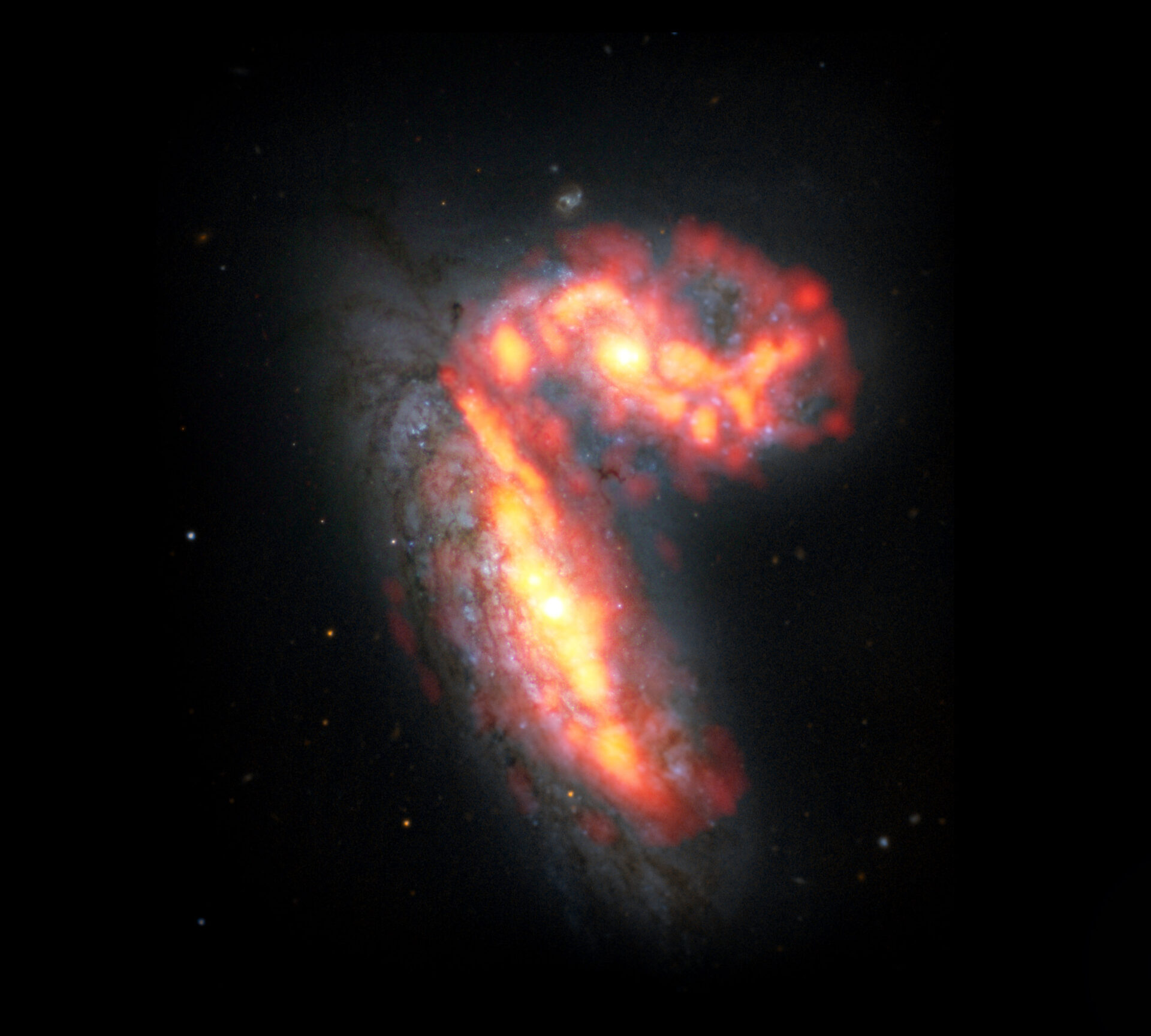 <p>NGC 4567 y NGC 4568 son dos de las 2.000 galaxias del cúmulo de Virgo, que se encuentra a unos 65 millones de años luz de la Tierra. Las dos galaxias, observadas en el marco de la campaña Virgo Environment Traced in Carbon Monoxide (VERTICO), son algunas de las que se ven afectadas por procesos físicos extremos que pueden provocar la muerte de las galaxias. Esta imagen se generó a partir de datos de radio del gas molecular obtenidos por ALMA (rojo/naranja) y datos ópticos de las estrellas obtenidos con el telescopio espacial Hubble (blanco/azul). Créditos: ALMA (ESO/NAOJ/NRAO)/S. Dagnello (NRAO)</p>
