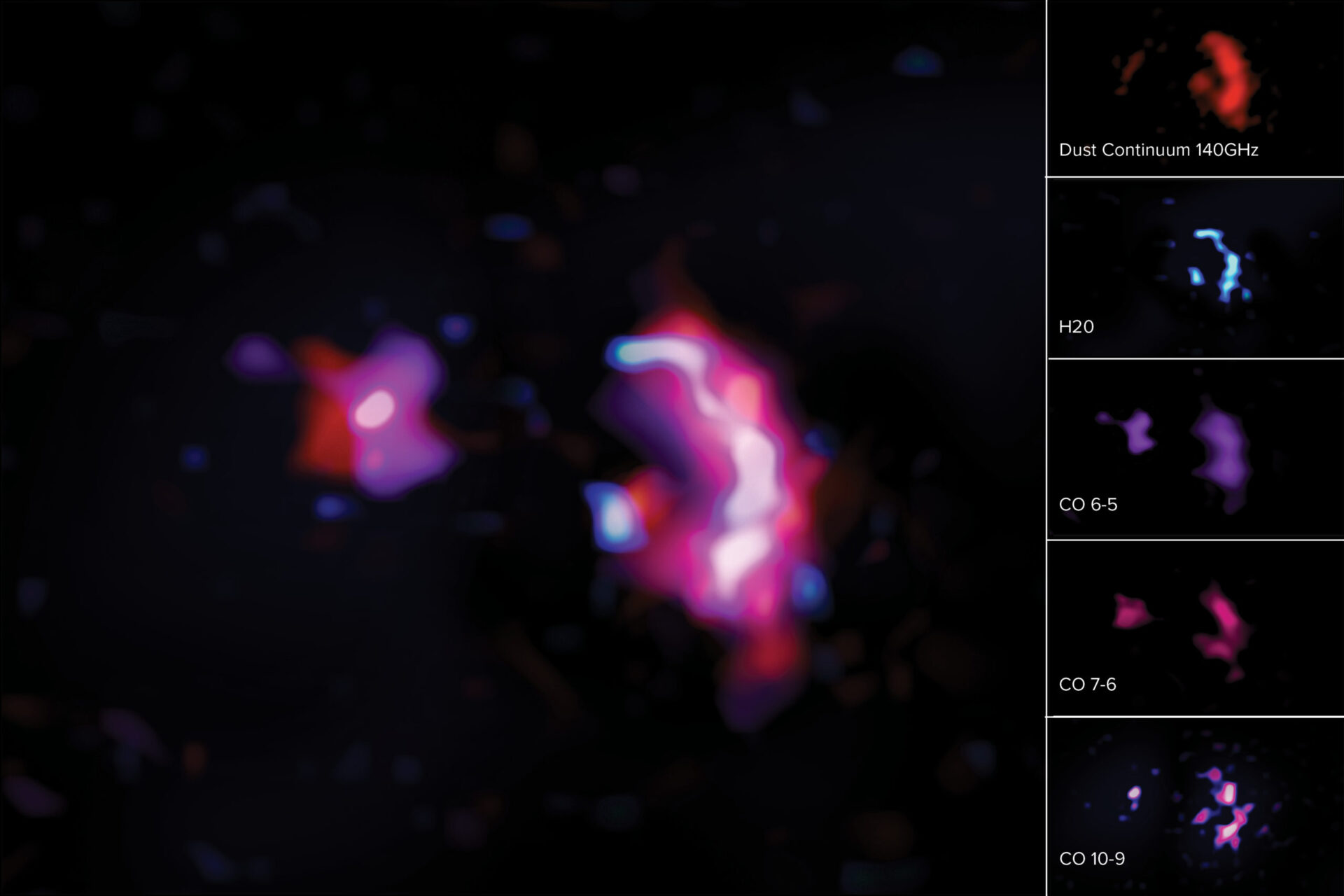 Estas imágenes muestran las líneas moleculares y el continuo de polvo observados por ALMA en la pareja de jóvenes galaxias masivas jóvenes conocida como SPT0311-58. Izquierda: imagen compuesta del continuo de polvo y las líneas moleculares de H2O y CO. Derecha: continuo de polvo representado en rojo (arriba), líneas moleculares de H2O en azul (segunda imagen desde arriba), líneas moleculares de monóxido de carbono (6-5) en morado (centro), líneas moleculares de monóxido de carbono (7-6) en magenta (segunda desde abajo) y líneas moleculares de monóxido de carbono (10-9) en rosado y azul oscuro (abajo). Créditos: ALMA (ESO/NAOJ/NRAO) /S. Dagnello (NRAO)
