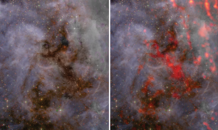 This zoomed-in view of the southern region of 30 Doradus reveals some clumpy areas that help make up the gas cloud. Unlike the northern region, which is home to massive protostars more than 5x the mass of the Sun, the southern region is home to numerous protostars similar in mass to the Sun. Future studies of the star-forming region using the Atacama Large Millimeter/submillimeter Array (ALMA) will help scientists understand why star formation differs from location to location within 30 Dor. Credit: ALMA (ESO/NAOJ/NRAO), T. Wong (U. Illinois, Urbana-Champaign); S. Dagnello (NRAO/AUI/NSF)
