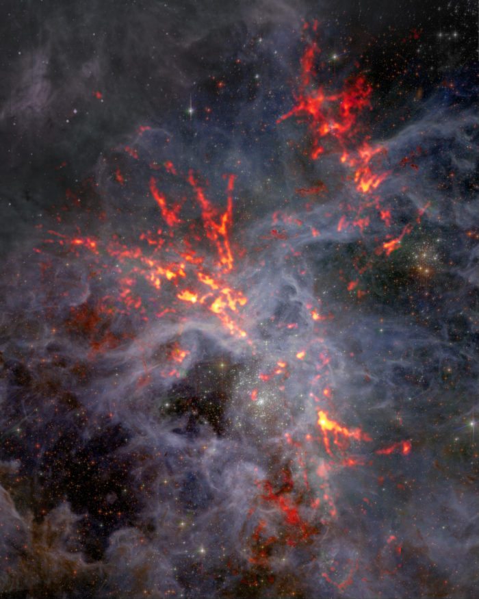 30 Doradus es una gran incubadora de estrellas ubicada en el corazón de la Nebulosa de la Tarántula. En esta imagen compuesta, los datos de ondas milimétricas del Atacama Large Millimeter/submillimeter Array (ALMA), correspondientes a los filamentos en naranja y rojo, figuran contrapuestos a los datos ópticos del telescopio espacial Hubble. Un equipo de investigación que observó 30 Dor descubrió que, pese a la intensa retroalimentación estelar (que suele causar una disminución de la tasa de nacimiento de estrellas), la gravedad sigue afectando la región y permitiendo que se formen nuevas estrellas. Créditos: ALMA (ESO/NAOJ/NRAO), T. Wong (U. Illinois, Urbana-Champaign); S. Dagnello (NRAO/AUI/NSF)