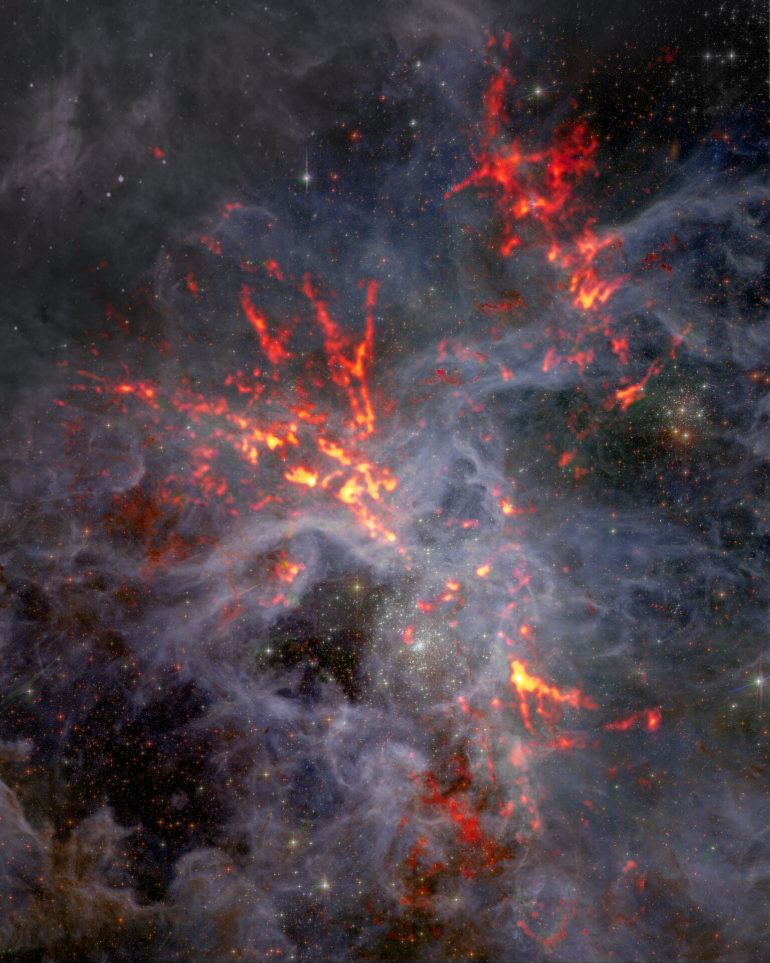 <p>30 Doradus es una gran incubadora de estrellas ubicada en el corazón de la Nebulosa de la Tarántula. En esta imagen compuesta, los datos de ondas milimétricas del Atacama Large Millimeter/submillimeter Array (ALMA), correspondientes a los filamentos en naranja y rojo, figuran contrapuestos a los datos ópticos del telescopio espacial Hubble. Un equipo de investigación que observó 30 Dor descubrió que, pese a la intensa retroalimentación estelar (que suele causar una disminución de la tasa de nacimiento de estrellas), la gravedad sigue afectando la región y permitiendo que se formen nuevas estrellas. Créditos: ALMA (ESO/NAOJ/NRAO), T. Wong (U. Illinois, Urbana-Champaign); S. Dagnello (NRAO/AUI/NSF)</p>
