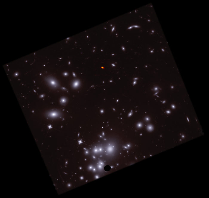 Esta imagen compuesta combina imágenes de radio de A1689-zD1 capturadas con el Atacama Large Millimeter/submillimeter Array (ALMA), mostradas en naranja y rojo, e imágenes ópticas del telescopio espacial Hubble, en azul y blanco. Considerando su entorno, queda claro cómo A1689-zD1 logró “esconderse” detrás de Abell 1689 y por qué el lente gravitacional que permite amplificar la joven galaxia es tan importante para estudiar su comportamiento y los procesos a los que está sujeta. Créditos: ALMA (ESO/NAOJ/NRAO)/H. Akins (Grinnell College), HST, B. Saxton (NRAO/AUI/NSF)