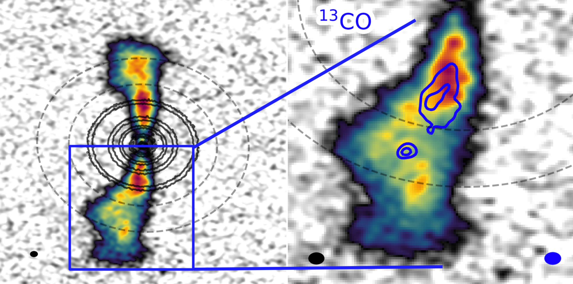 <p>Scientists studying the young star AS 209 have detected gas in a circumplanetary disk for the first time, which suggests the star system may be harboring a very young Jupiter-mass planet. Science images from the research show (right) blob-like emissions of light coming from otherwise empty gaps in the highly-structured, seven-ring disk (left). Credit: ALMA (ESO/NAOJ/NRAO), J. Bae (U. Florida)</p>
