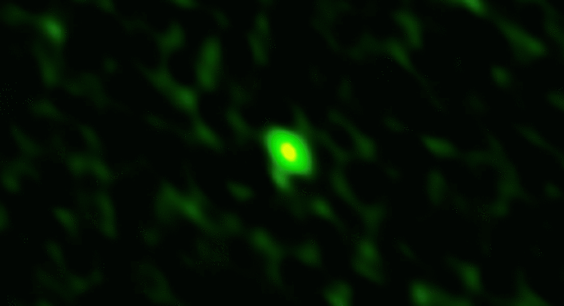 Out With a Bang: Explosive Neutron Star Merger Captured for the First Time in Millimeter Light