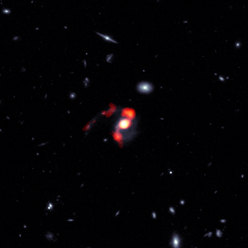 SDSS J1448+1010 is a newly-dormant massive galaxy that was born when the Universe was at roughly half of its current age, and is nearing the completion of a merger with another galaxy. During the course of this merger, the force of gravity flung what amounts to nearly half of the system’s star-forming gas away from the galaxy, leaving it unable to form new stars. This composite image combines blue/white data from the Hubble Space Telescope (HST) and red/orange data from the Atacama Large Millimeter/submillimeter Array (ALMA) to show the post-merger distribution of gas and stars from the now-dormant galaxy into streams of material known as tidal tails. Credit: ALMA (ESO/NAOJ/NRAO), J. Spilker et al (Texas A&M), S. Dagnello (NRAO/AUI/NSF)