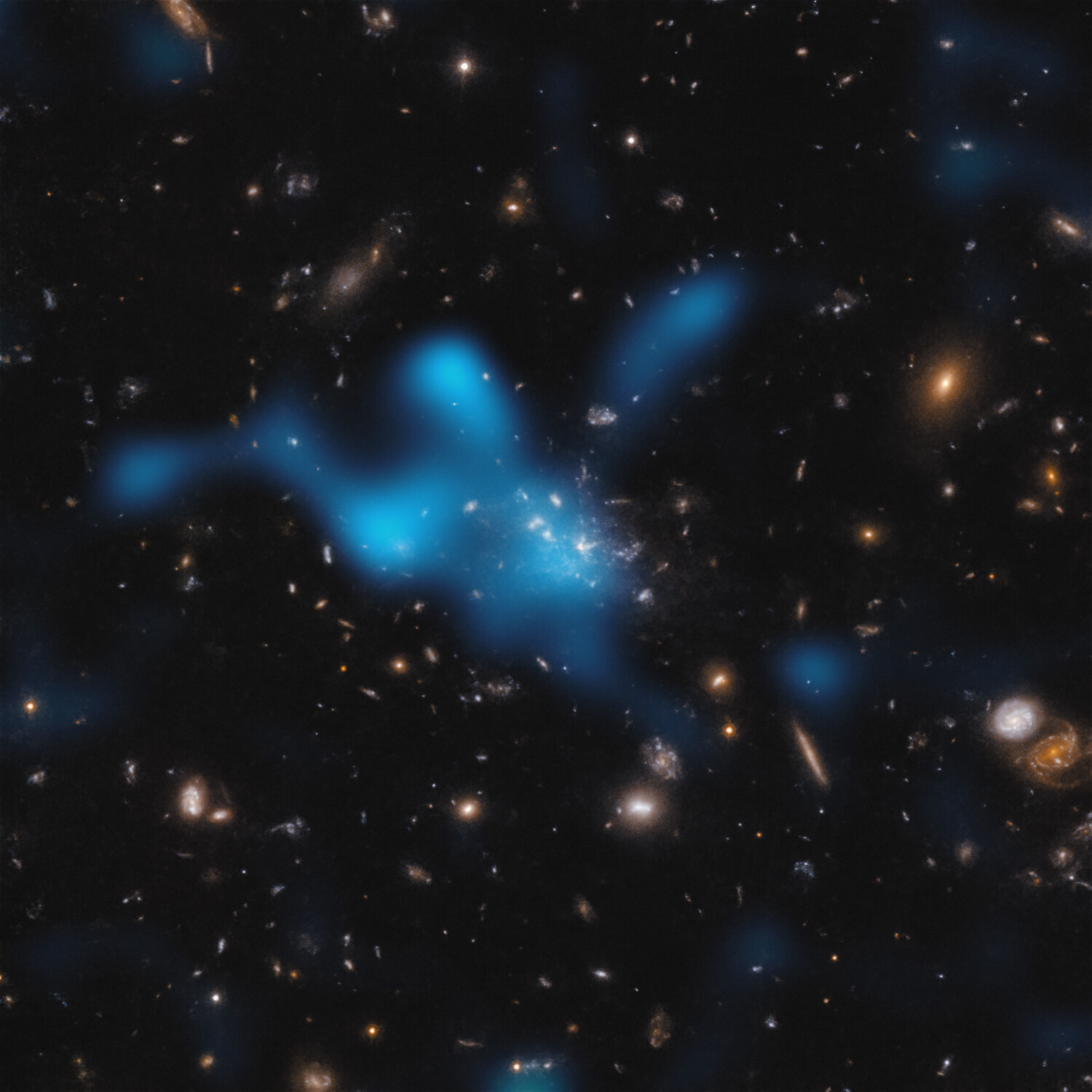 Esta imagen muestra el protocúmulo que se encuentra alrededor de la galaxia Telaraña (formalmente conocida como MRC 1138-262), visto en un momento en el que el Universo tenía solo 3 000 millones de años. La mayor parte de la masa del protocúmulo no se encuentra en las galaxias que se pueden ver en el centro de la imagen, sino en el gas conocido como el “medio intracúmulo” (ICM). El gas caliente del ICM se muestra como una nube azul superpuesta. El gas caliente se detectó con el Atacama Large Millimeter/submillimeter Array (ALMA), del cual ESO es socio. A medida que la luz del fondo cósmico de microondas (la radiación remanente del Big Bang) viaja a través del ICM, gana energía cuando interactúa con los electrones del gas caliente. Esto se conoce como el efecto Sunyaev-Zeldovich. Al estudiar este efecto, la comunidad astronómica puede inferir cuánto gas caliente hay en el ICM y mostrar que el protocúmulo Telaraña está en proceso de convertirse en un cúmulo masivo unido por su propia gravedad. Crédito: ESO/Di Mascolo et al.; HST: H. Ford