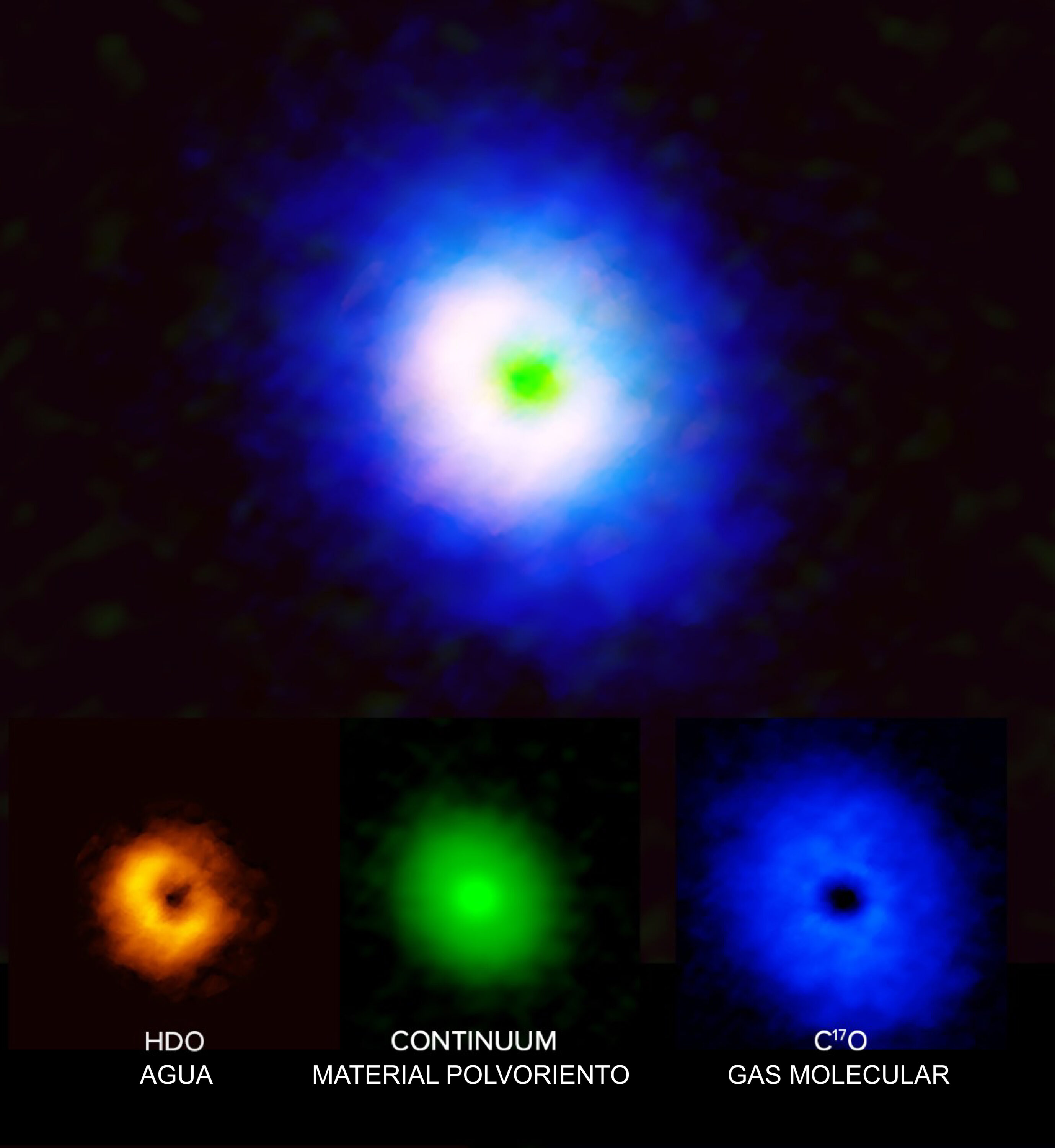 Leyenda: Mientras estudiaba los orígenes del agua de nuestro Sistema Solar, un equipo científico observó V883 Orionis, una protoestrella única situada a 1.305 años luz de la Tierra. A diferencia de lo que ocurre en otras protoestrellas, el disco circumestelar de V883 Ori tiene una temperatura que convirtió el agua en gas, lo que permite a la comunidad científica estudiar su composición usando radiotelescopios como el Atacama Large Millimeter/submillimeter Array (ALMA). Las radioobservaciones de la protoestrella revelaron la presencia de gas molecular (en azul), agua (naranja) y continuo de polvo (verde), de lo cual se desprende que el agua de esta protoestrella es extremadamente similar al agua presente en astros de nuestro Sistema Solar y podría tener orígenes similares. Créditos: ALMA (ESO/NAOJ/NRAO), J. Tobin, B. Saxton (NRAO/AUI/NSF)