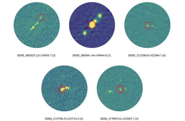 AGN jets in the ALMA archive