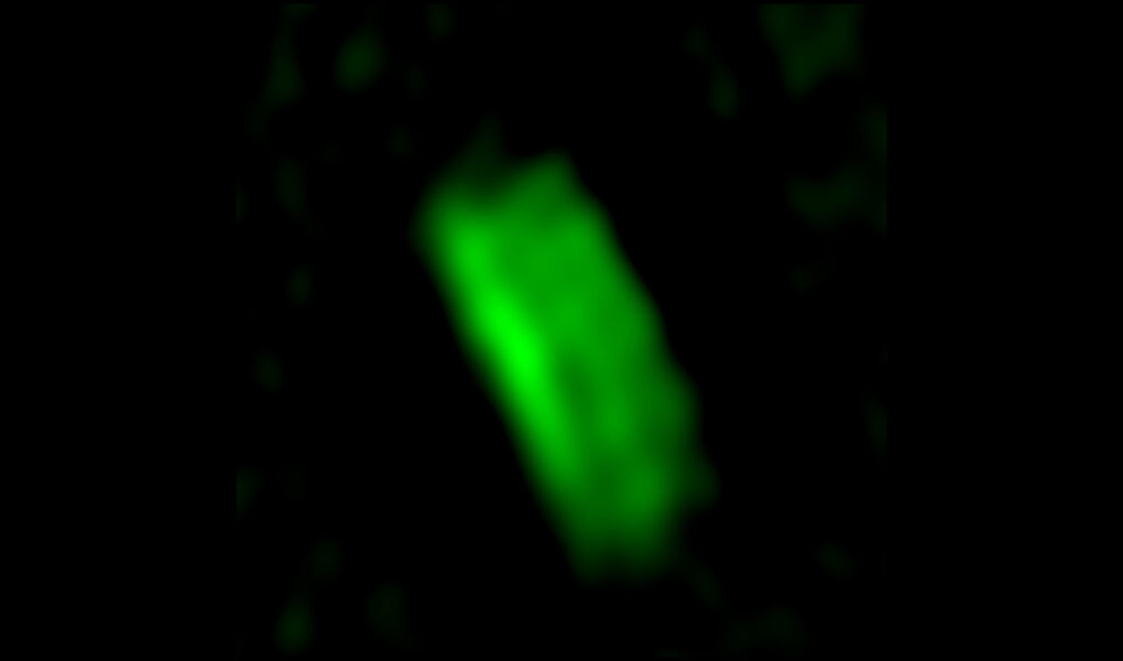 ALMA captura imagen detallada de joven disco protostelar con brazo espiral