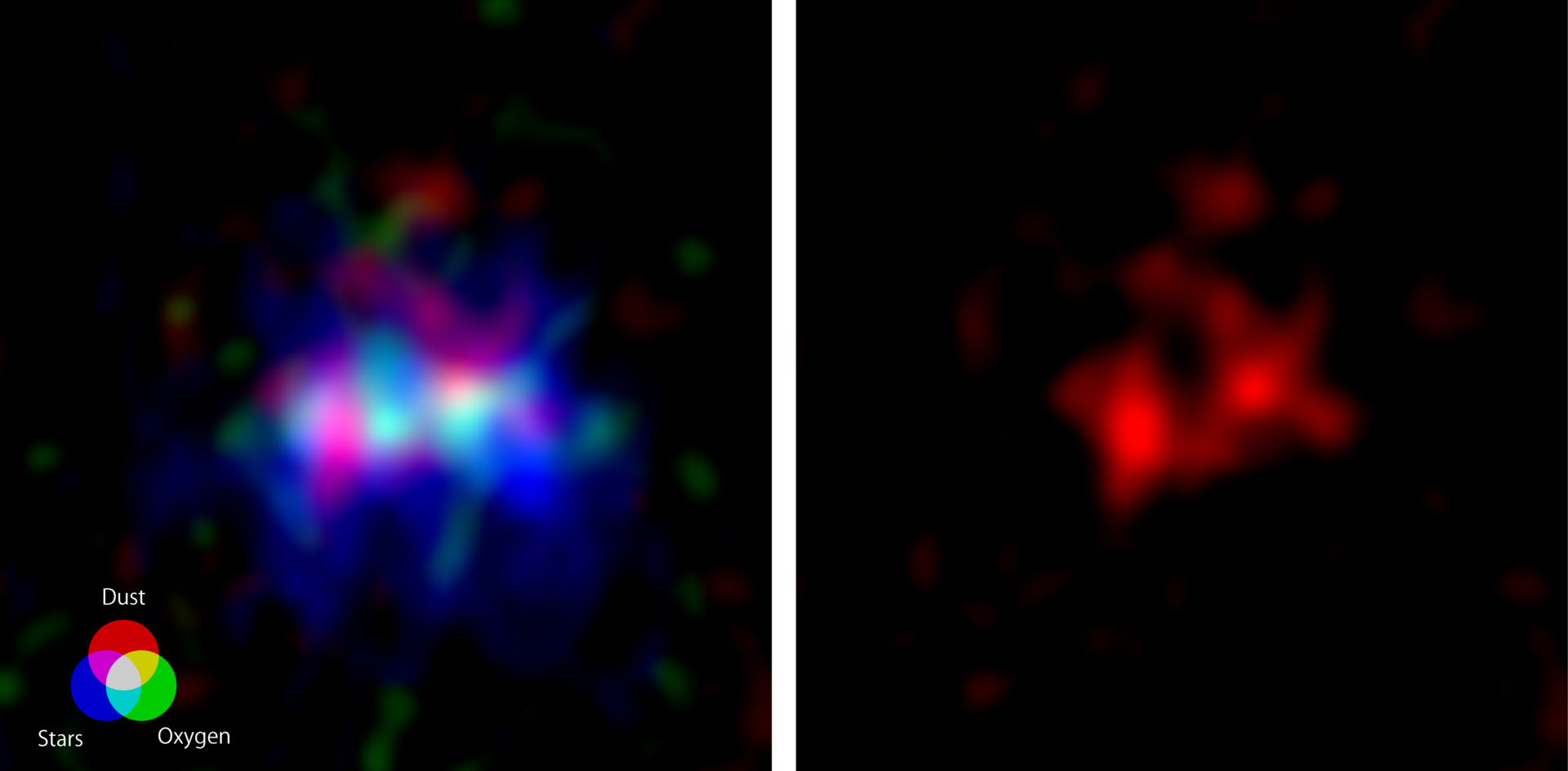 The ALMA image of the galaxy MACS0416_Y1 located 13.2 billion light-years away, harboring the farthest ever dark nebula. The image spans approximately 15,000 light-years on each side. (Left) Radio images captured by ALMA depicting the dark nebula (emitting radio waves from dust, shown in red) and the emission nebula (emitting radio waves from oxygen, green), along with the image of stars captured by the Hubble Space Telescope (blue). Credit: ALMA (ESO/NAOJ/NRAO), Y. Tamura et al., NASA/ESA Hubble Space Telescope. (Right) Image captured by ALMA, only showing the radio waves emitted by the dust within the dark nebula. A vertically elongated elliptical cavity, a candidate for a superbubble, is visible in the central region." Credit: ALMA (ESO/NAOJ/NRAO), Y. Tamura et al.