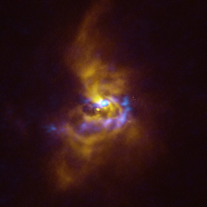 En el centro de esta imagen está la joven estrella V960 Mon, situada a más de 5.000 años luz de distancia en la constelación de Monoceros. La estrella está rodeada de material polvoriento con potencial para formar planetas. Las observaciones obtenidas con el instrumento Spectro-Polarimetric High-contrast Exoplanet REsearch (SPHERE) del VLT de ESO, representadas en amarillo en esta imagen, muestran que el material polvoriento que orbita alrededor de la joven estrella se está agrupando en una serie de intrincados brazos espirales que se extienden a distancias más grandes que todo el Sistema Solar. Por su parte, las regiones azules representan datos obtenidos con el Atacama Large Millimeter/submillimeter Array (ALMA). Los datos de ALMA examinan más profundamente la estructura de los brazos espirales, revelando grandes cúmulos de polvo que podrían contraerse y colapsar para formar planetas gigantes del tamaño aproximado de Júpiter a través de un proceso conocido como "inestabilidad gravitacional". Crédito: ESO/ALMA (ESO/NAOJ/NRAO)/Weber et al.