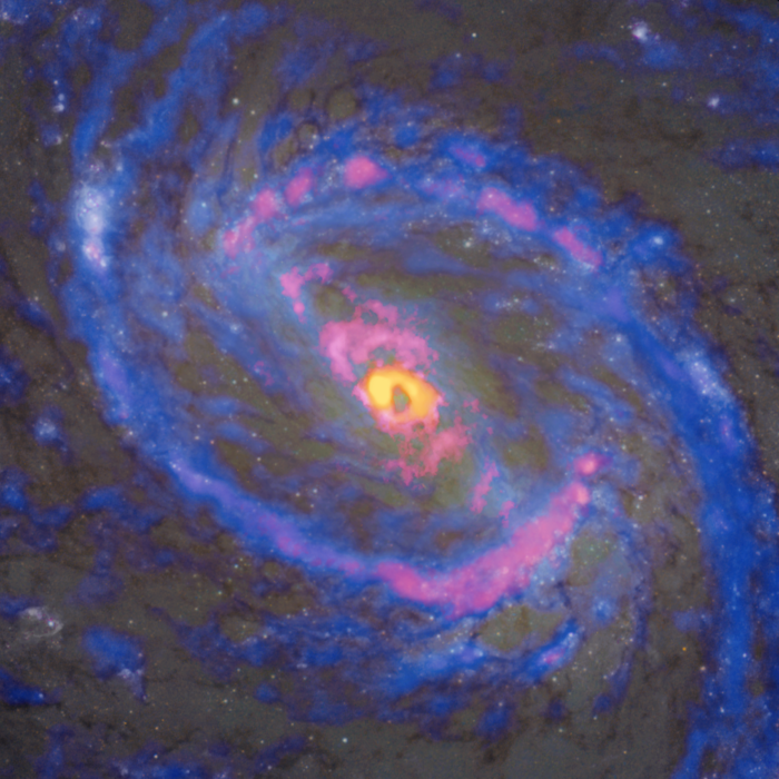 La región central de la galaxia espiral NGC 1068, observada por ALMA y superpuesta a la imagen del Telescopio Espacial Hubble, tiene una distribución fascinante de isótopos de cianuro de hidrógeno (H13CN) que se muestran en amarillo, radicales de cianuro (CN) en rojo e isótopos de monóxido de carbono (13CO) en azul. El H13CN se concentra únicamente en el centro del núcleo galáctico activo. Sin embargo, CN no sólo aparece en el centro y en la estructura de gas en forma de anillo a gran escala, sino que también exhibe una estructura que se extiende desde el centro hacia el noreste (arriba a la izquierda) y el suroeste (abajo a la derecha), lo que se cree que es causado por el chorro que emana del agujero negro supermasivo. Crédito: ALMA (ESO/NAOJ/NRAO), Telescopio Espacial Hubble de NASA/ESA, T. Nakajima et al.