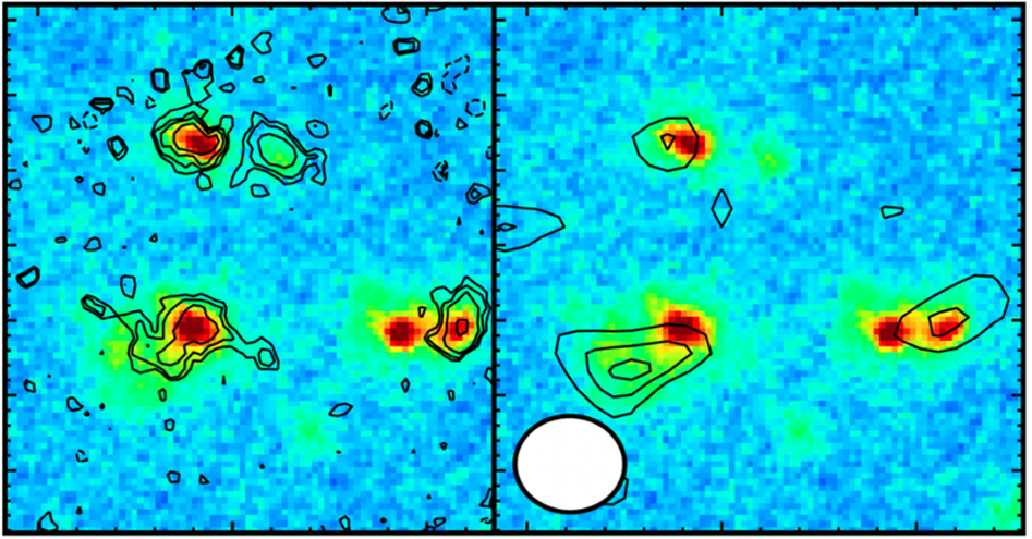 ALMA and James Webb Observe the Most Distant Galaxy Protocluster