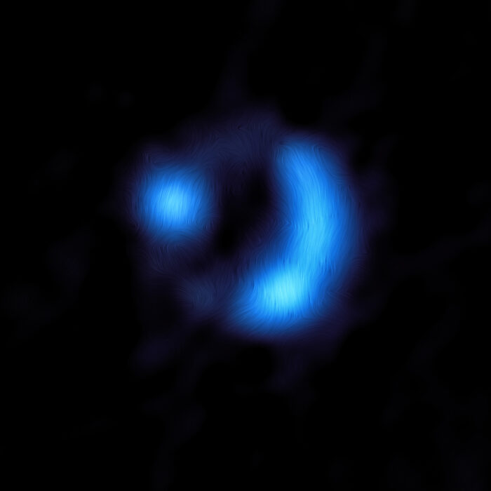 Esta imagen, que muestra la orientación del campo magnético en la galaxia distante 9io9 (vista aquí cuando el universo tenía solo el 20% de su edad actual), es la detección más lejana hecha hasta el momento del campo magnético de una galaxia. Las observaciones se realizaron con el conjunto de antenas ALMA (Atacama Large Millimeter/submillimeter Array), del que ESO es socio. De algún modo, los granos de polvo de 9io9 se alinean con el campo magnético de la galaxia, por lo que emiten luz polarizada (esto significa que las ondas de luz oscilan a lo largo de una dirección preferente en lugar de al azar). ALMA detectó esta señal de polarización, a partir de la cual los astrónomos y astrónomas del equipo pudieron calcular la orientación del campo magnético, que en la imagen de ALMA se muestran como líneas curvas superpuestas. Debido a que la señal de luz polarizada emitida por el polvo alineado magnéticamente en 9io9 era extremadamente débil (representando solo el uno por ciento del brillo total de la galaxia), utilizaron un ingenioso truco de la naturaleza para ayudarles a obtener este resultado. El equipo se aprovechó del hecho de que, pese a que 9io9 se encuentra muy alejada de nosotros, había sido magnificada a través de un proceso conocido como lente gravitacional. Esto ocurre cuando la luz de una galaxia distante, en este caso 9io9, aparece más brillante y distorsionada a medida que se dobla por la gravedad de un objeto muy grande que, desde nuestro punto de observadores, se encuentra en primer plano. Crédito: ALMA (ESO/NAOJ/NRAO)/J. Geach et al.