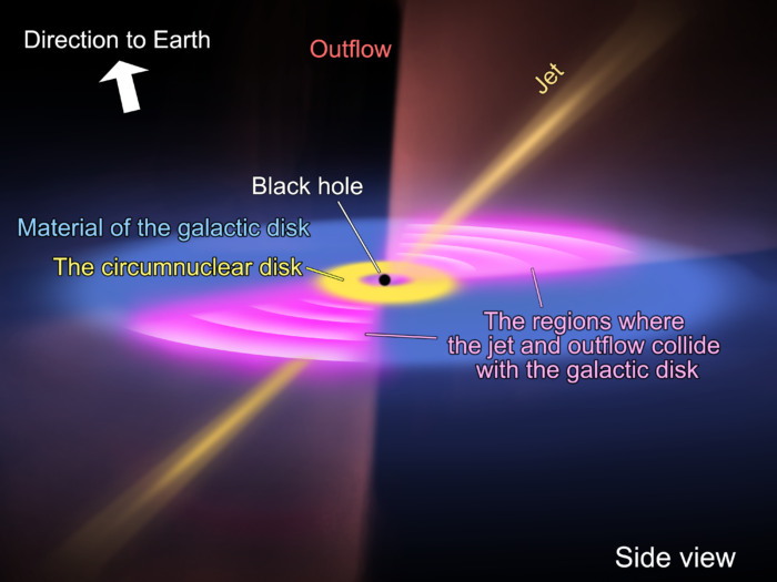 Schematic diagram illustrating the location of the bipolar jet and galactic disk emanating from the supermassive black hole at the galaxy's center, along with the resulting outflow of molecular gas from a side view. Credit: ALMA (ESO/NAOJ/NRAO), T. Saito et al.