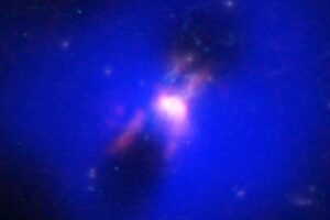 ALMA Discovers Unexpected Trove of Star-forming Gas in Phoenix Cluster