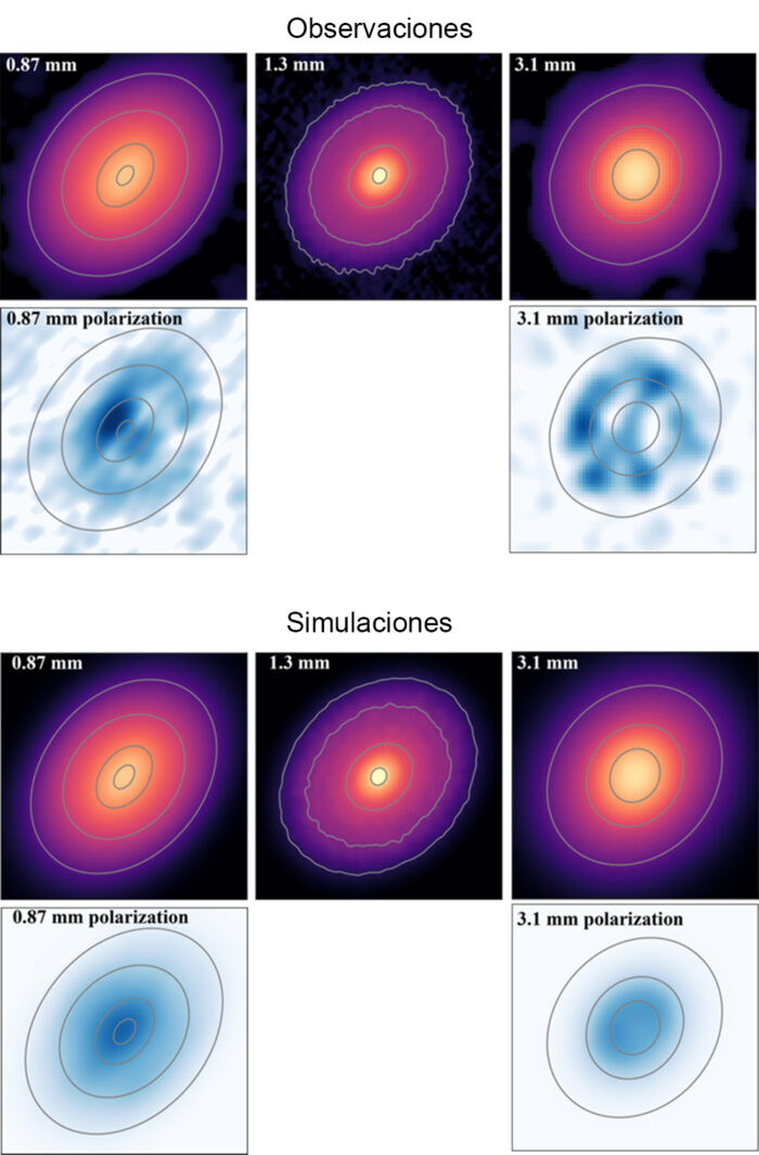 El panel superior muestra los mapas de intensidad de las ondas de radio del disco DG Tau en tres longitudes de onda: 0,87 mm, 1,3 mm y 3,1 mm. Junto a estos están los mapas de intensidad de polarización para longitudes de onda de 0,87 mm y 3,1 mm, que muestran las ondas de radio dispersadas por el polvo. El panel inferior presenta la simulación óptima, alineada con los resultados observados. Esta visión multifacética ofrece una comprensión más profunda de los procesos que tienen lugar en el disco. Crédito: ALMA (ESO/NAOJ/NRAO), S. Ohashi, et al.