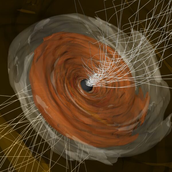 A Supermassive Black Hole's Strong Magnetic Fields Revealed in a New Light