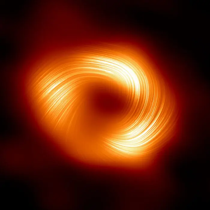 La colaboración del Event Horizon Telescope (EHT), que produjo la primera imagen de nuestro agujero negro de la Vía Láctea publicada en 2022, ha capturado una nueva vista del objeto masivo en el centro de nuestra galaxia: cómo se ve en luz polarizada. Esta es la primera vez que los astrónomos han podido medir la polarización, una característica de los campos magnéticos, tan cerca del borde de Sagitario A*. Esta imagen muestra la vista polarizada del agujero negro de la Vía Láctea. Las líneas superpuestas en esta imagen marcan la orientación de la polarización, que está relacionada con el campo magnético alrededor de la sombra del agujero negro. Crédito: Colaboración EHT