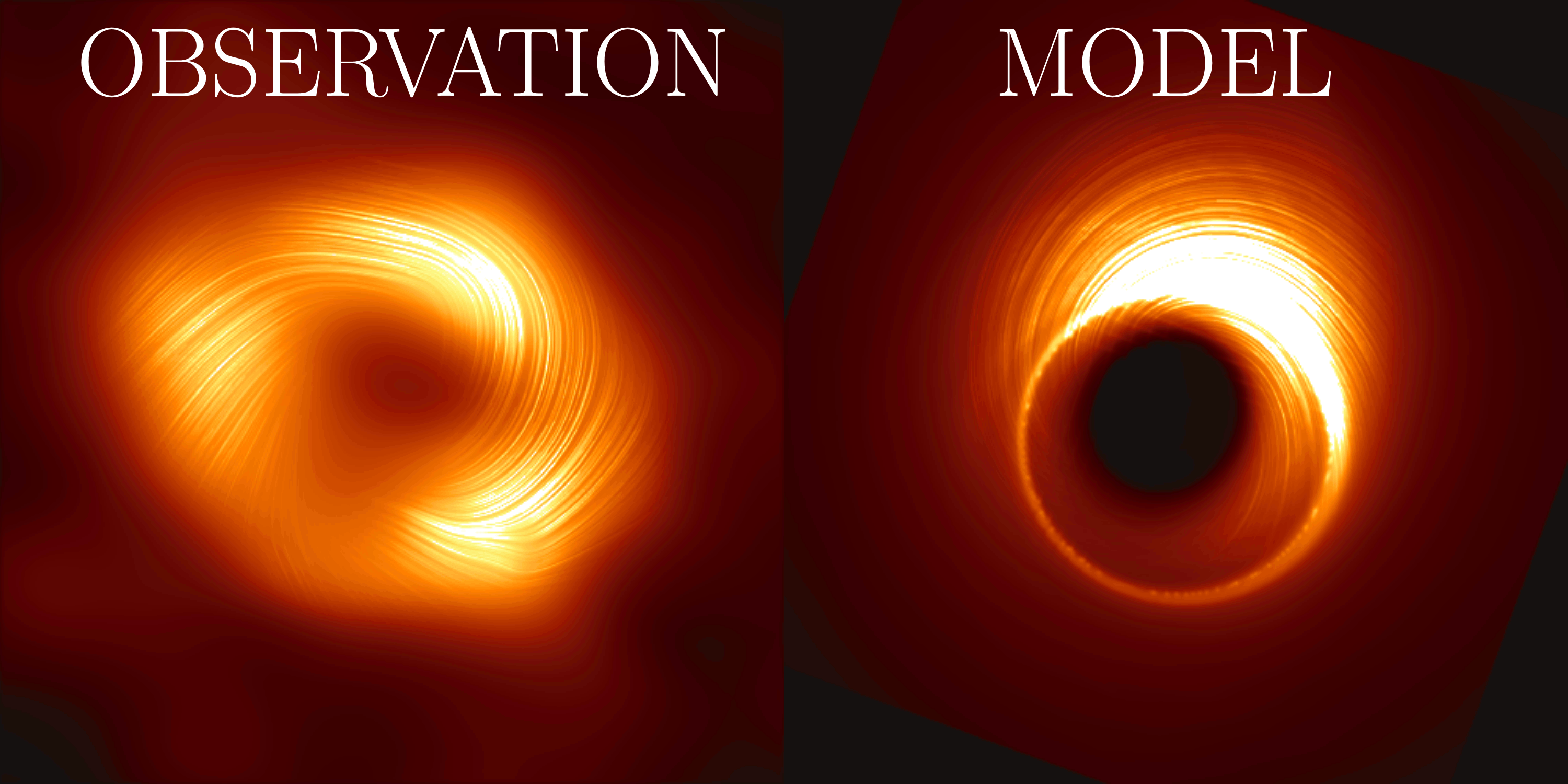 Animación de la transición que muestra la imagen de polarización observada y una imagen de la teoría. Crédito: S. Issaoun, A. Ricarte, Colaboración EHT
