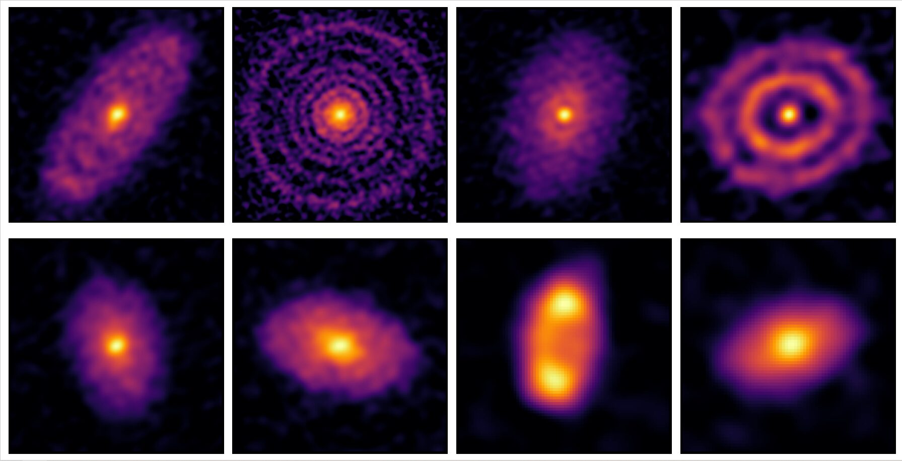 Images of dust discs around stars in the Sigma Orionis Cluster. Credit: ALMA (ESO/JAO/NAOJ/NRAO), J. Huang et. al.