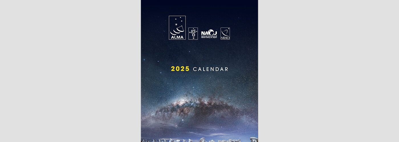 2025 Calendar