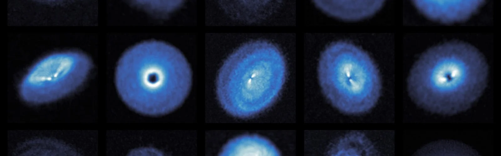 ExoALMA survey reveals incredible images of structures in protoplanetary disks 