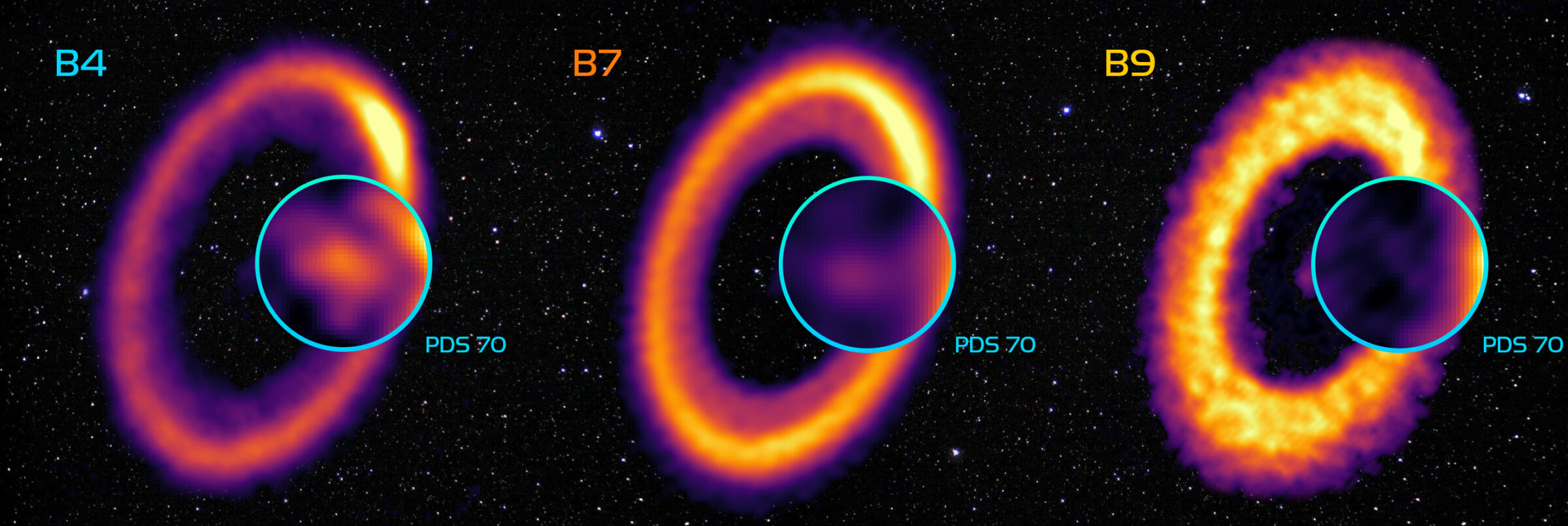 20250930-Dominguez-et-al-labels