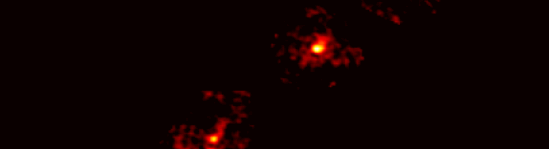 An Exceptional Einstein Cross Reveals Hidden Dark Matter