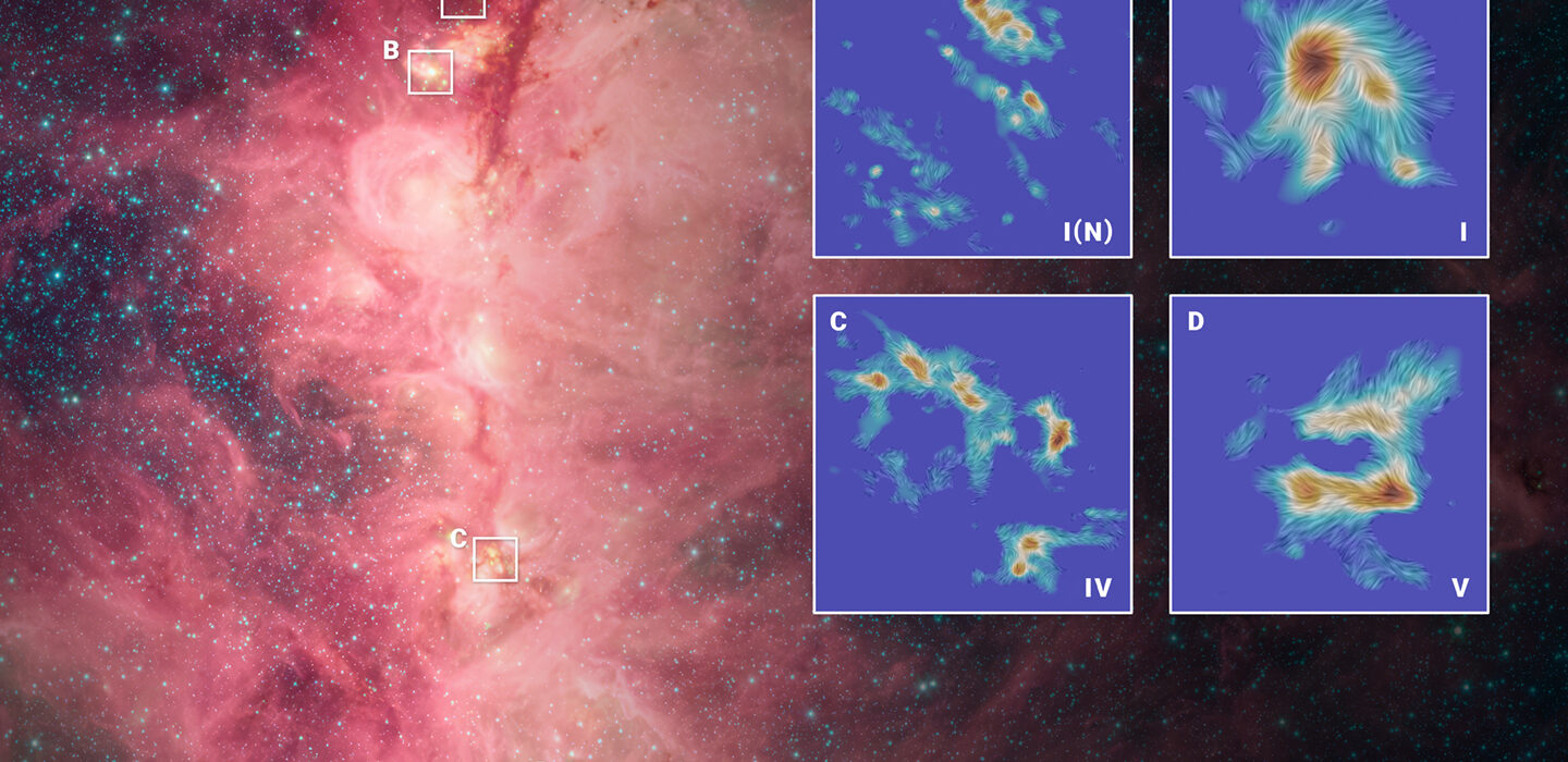 Cosmic Tug-of-War: Gravity Reshapes Magnetic Fields in Star Clusters