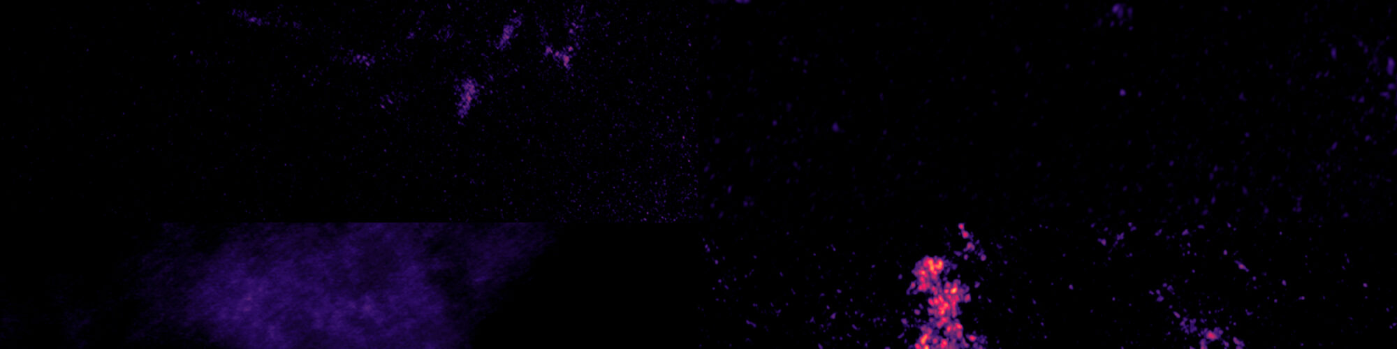 Los agujeros negros supermasivos podrían ser quisquillosos para comer