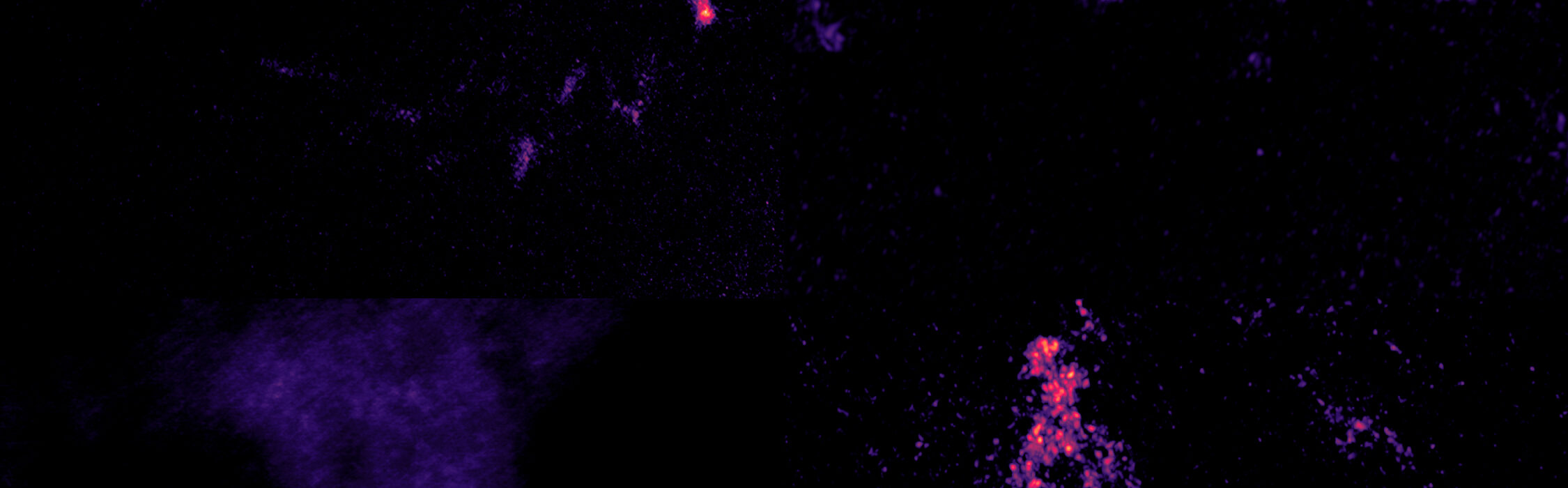 Los agujeros negros supermasivos podrían ser quisquillosos para comer