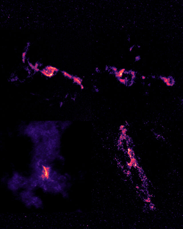 Super Massive Black Holes May Be Picky Eaters