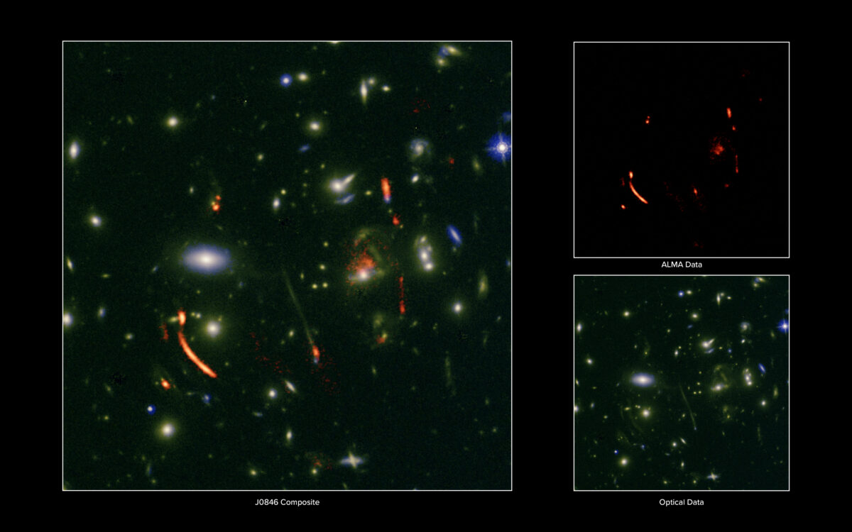 ALMA and the NSF VLA Use a Cosmic Lens to Reveal a Hyperactive Cradle of a Future Galaxy Cluster