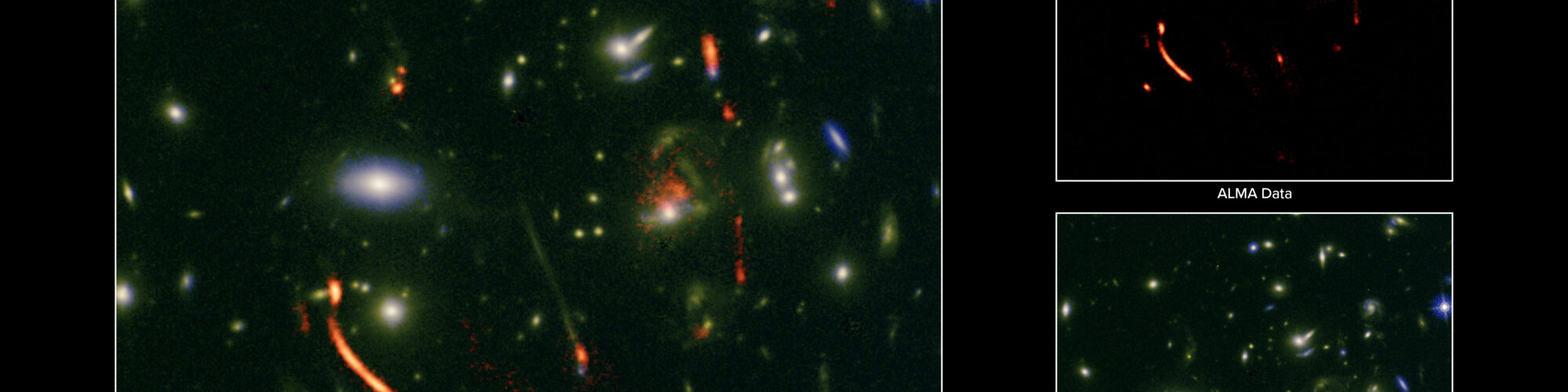 ALMA y el VLA de la NSF utilizan una lente cósmica para revelar la cuna hiperactiva de un futuro cúmulo de galaxias